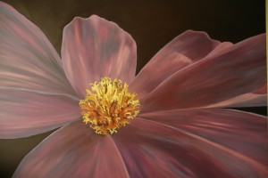 L’exposition « Des fleurs au passage » 