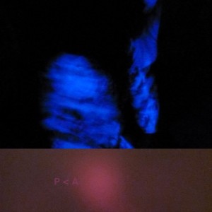Album Dreamer's Drug de Pang Attack