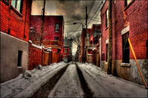 Les plus belles images du Plateau Mont-Royal !