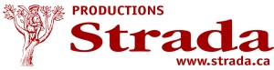 Productions Strada Concerts Secrets les 12, 13 et 14 février au Café Babylone