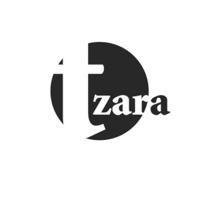 Galerie TZARA Solo Mathieu Lacroix; 16 Mars au 14 avril 2012