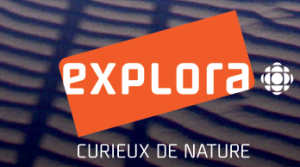 Explora