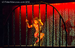 Sensualité en cage ! Sensualité en cage !