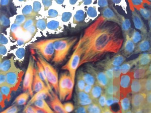 Oeuvre de Janick Laberge Oeuvre de Janick Laberge