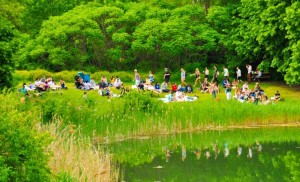 Piknic : Une première canadienne