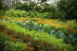 Jardin de la Maison de Saint-Gabriel