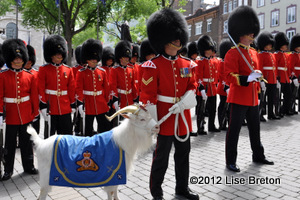 Le Royal 22 ième Régiment