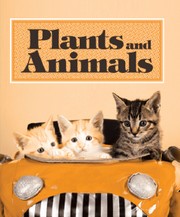 Plants and Animals à L’Impérial le 17 novembre prochain