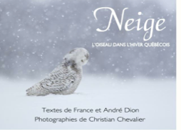 NEIGE André Dion et Christian Chevalier NEIGE André Dion et Christian Chevalier