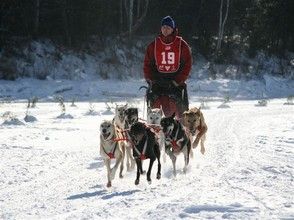 Course Internationale de chiens à traîneaux