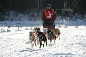 COURSE INTERNATIONALE DE CHIENS DE TRAÎNEAUX AU VILLAGE VALCARTIER