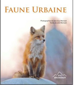 Faune Urbaine Faune Urbaine par Jean-Guy Morisset