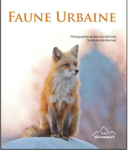 Faune Urbaine par Jean-Guy Morisset