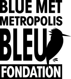 15e anniversaire du Festival Metropolis bleu 