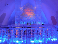 Le bar de glace Le bar de glace