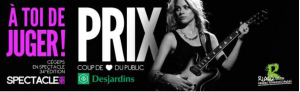 prix Coup de coeur du public Desjardins