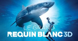 Le Grand Requin Blanc 3D