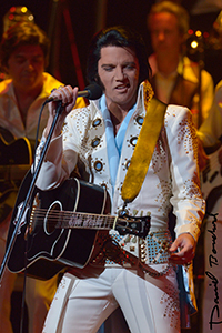 Elvis