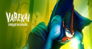 Le Crique du soleil: Varekai