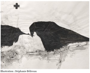 Les Oiseaux Mécaniques