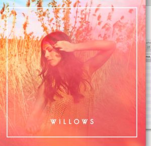 Willows