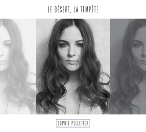 Sophie Pelletier - Le désert, la tempête