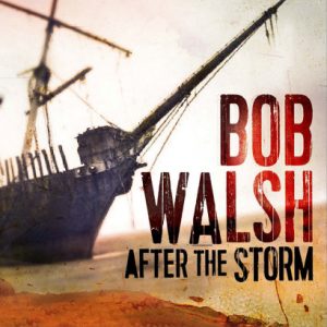 Bob Walsh - After The Storm