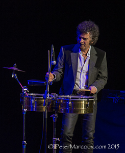 Gino Vanelli