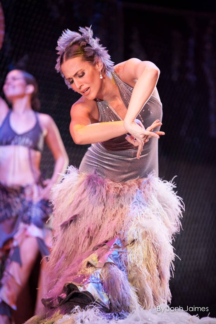 Le spectacle de Flamenco Entre Mundos ? © photo: courotisie
