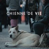 Chienne de vie 