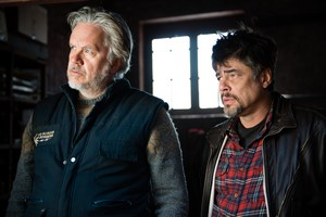 Tim Robbins et Benicio del Toro
