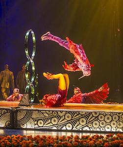 LUZIA du Cirque du Soleil