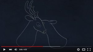 Clip Carrousel