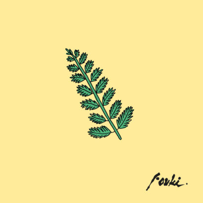 FouKi – Zay