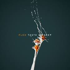 flox-nouvel-album-taste-of-grey