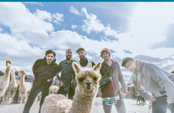 Le Winston Band – Zig Zag Zydeco Zoo