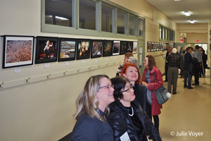 Exposition Artistique de Sillery au centre communautaire Noël Brulart