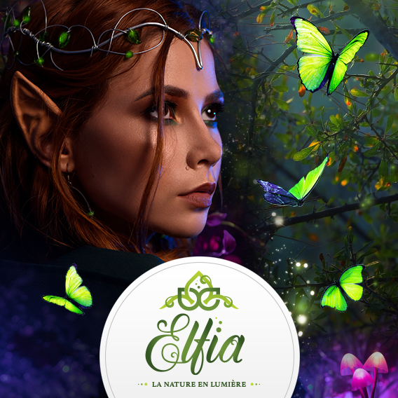 Woodooliparc inaugure le parcours nocturne Elfia le vendredi 12 juillet