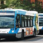 Des bus de la STM infestés par des coquerelles et punaises de lit