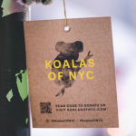 New York : des koalas en peluche un peu partout dans la ville pour collecter des dons