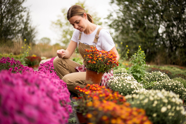 Le guide du jardinier québécois : récolter, protéger et préparer l&rsquo;automne